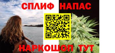 амф Можга