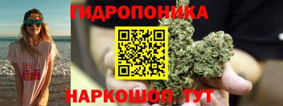 амф Можга