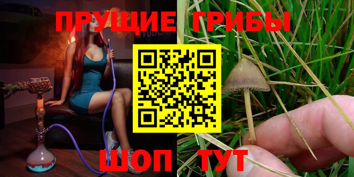 Урай  Псилоцибиновые грибы Psilocybine cubensis  Вход с VPN 